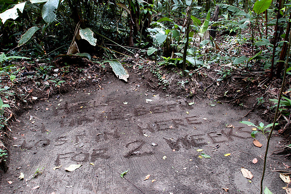 tortuguero help