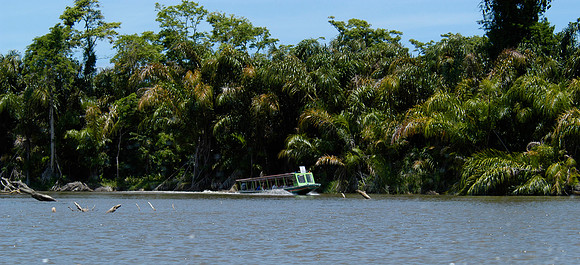 tortuguero canal taxi