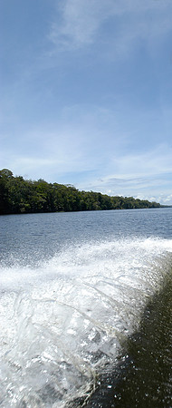 tortuguero bow wave