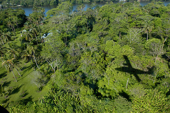 tortuguero airstrip plane shadow