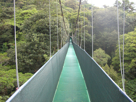 monteverde hanging bridges 3