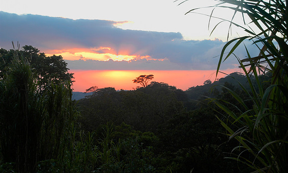 monteverde el establo sunset