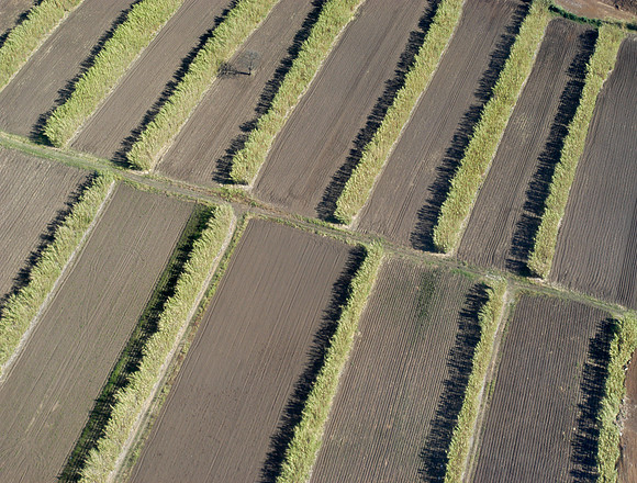 fields from air