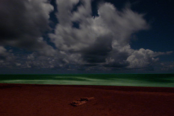 beach at night
