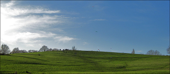primrose hill kites Jan 1 07