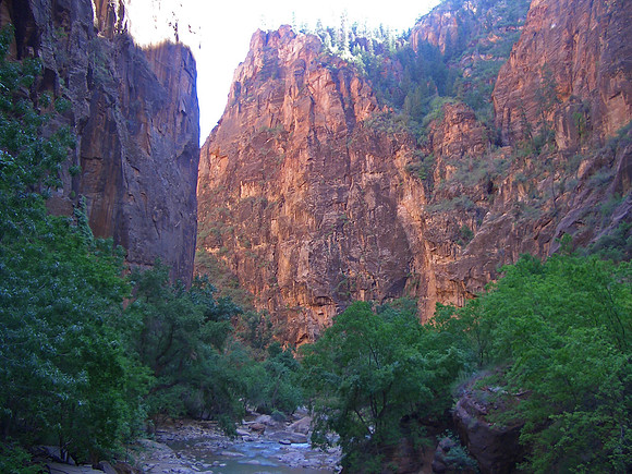 GC_zion_virgin_river2