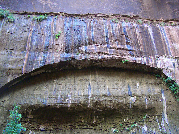 GC_zion_limestone _seep
