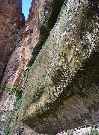 GC_zion_hanging_gardens