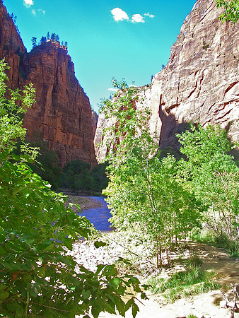 GC_zion_virgin_river