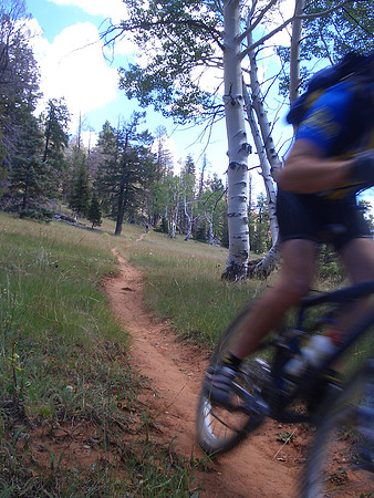 GC_virgin_river_trail_unknownrider