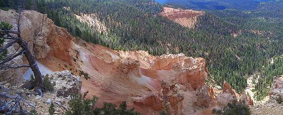GC_virgin_river_trail_panorama