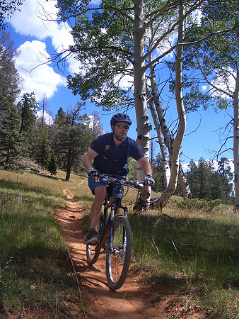 GC_virgin_river_trail_meercat