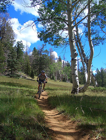 GC_virgin_river_trail_matt