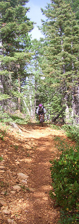 GC_virgin_river_trail_jane
