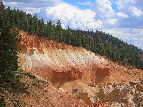 GC_virgin_river_trail_cliff