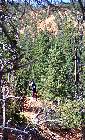 GC_thunder_mountain_mike