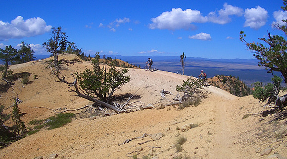 Thunder Mountain singletrack, Utah.