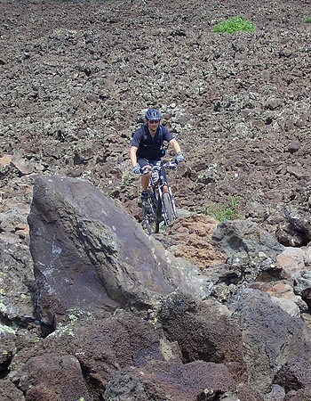 GC_Navajo_lake_lava_meercat