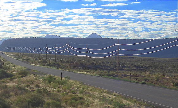 GC_gooseberry_telegraphpoles