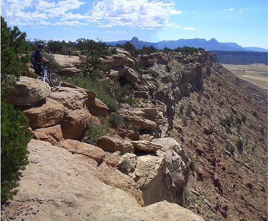 GC_gooseberry_panorama