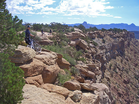GC_gooseberry_panorama2
