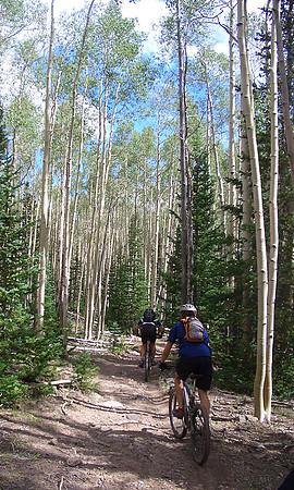 GC_brian_head_aspens