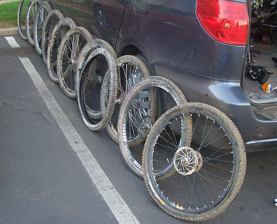GC_bearclawpoppy_wheels
