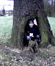 Hollow tree dad