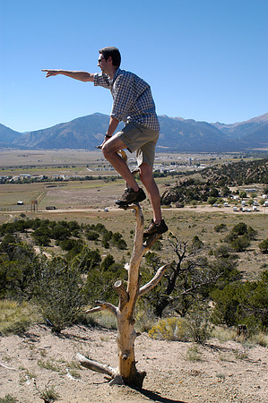 rich up tree pointing
