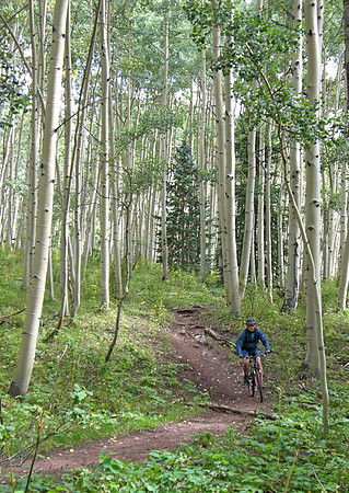 dyke trail mk aspens