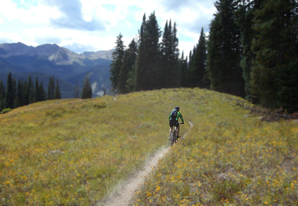 dyke trail blur
