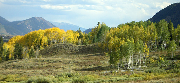 dyke trail aspens 2