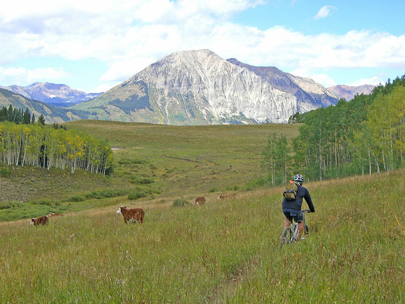 deer creek stampede