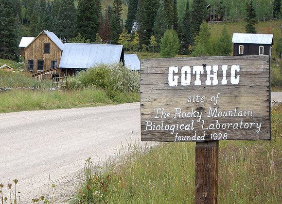 deer creek gothic sign
