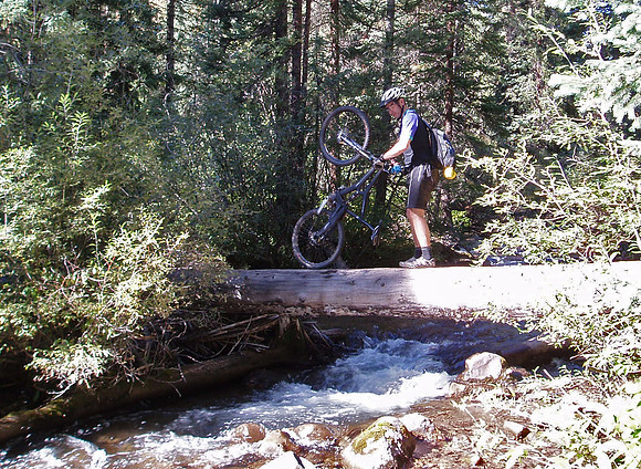 deadman gulch log bridge