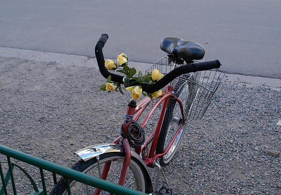 cb bike flowers