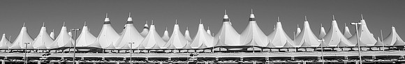 z dia terminal wideangle bw