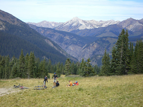 trail 401 top