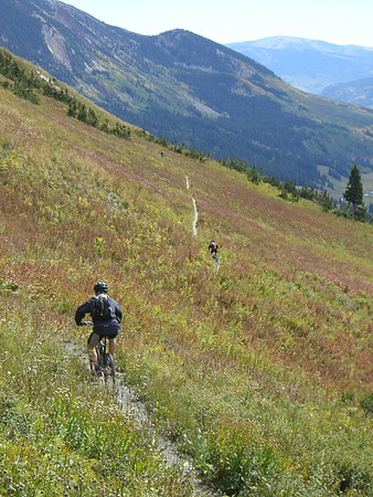 trail 401 singletrack