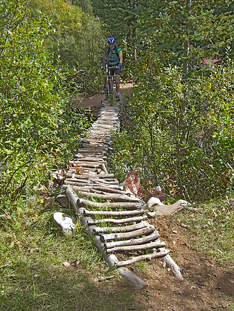 teocalli bridge