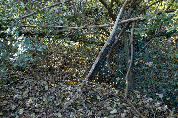 exit to arrandene 2 191105