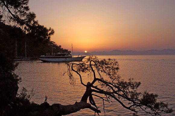 sunset with boat and tree
