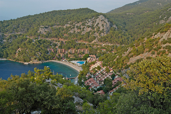hillside 2