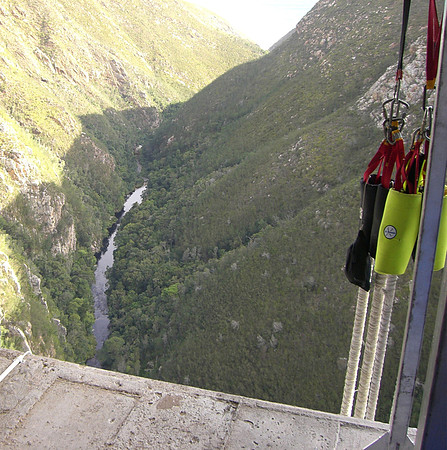 bungee 2
