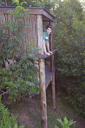 hog hollow ryan