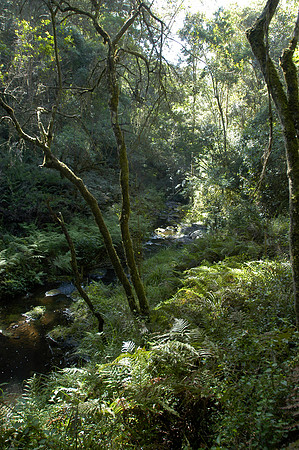 hog hollow river
