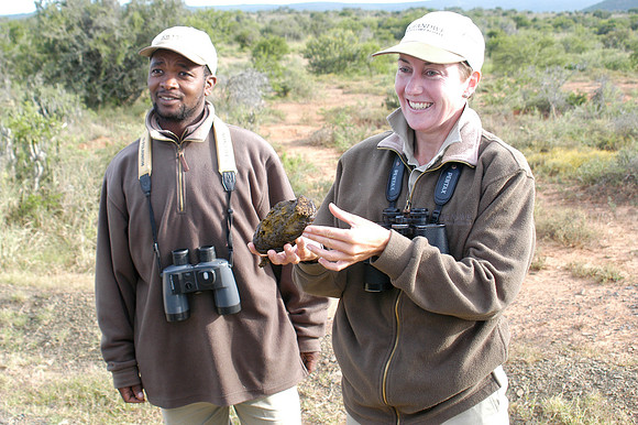 elephant dung