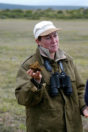 white rhino dung