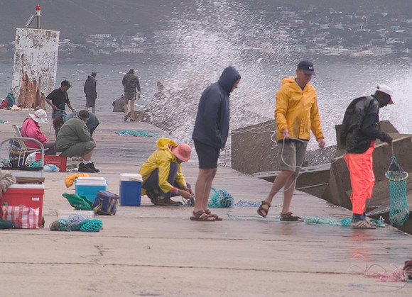 Quayside fishing