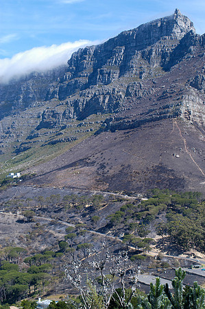 table mtn fire damage